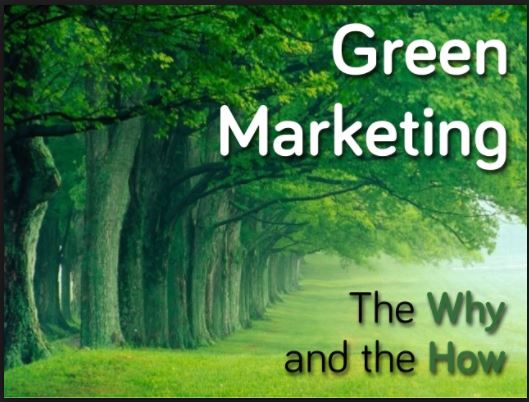 Assessing the Prospects of Green Marketing in&nbsp;India
