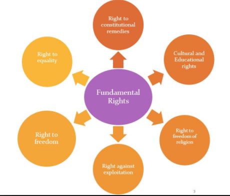fundamental rights