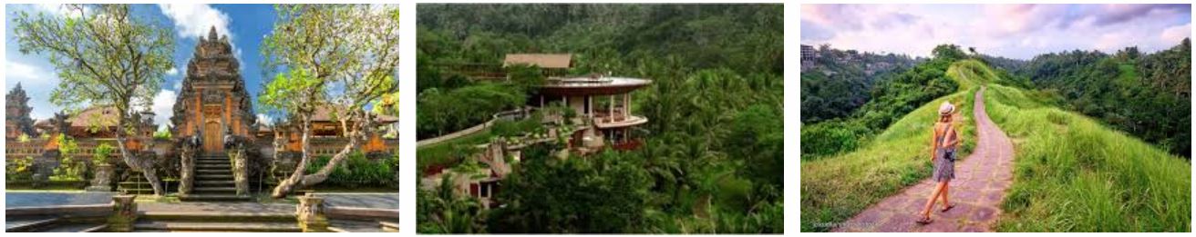 Ubud, The Ultimate Tourist Destination