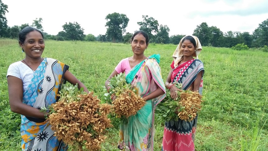 Women and Agriculture