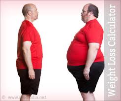 How to Lose Weight - Weight Loss Calculator