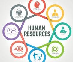Human Resource Management | What is HRM? – mc.ai