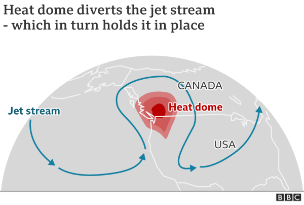 What is heat wave? – International Journal of Research (IJR)