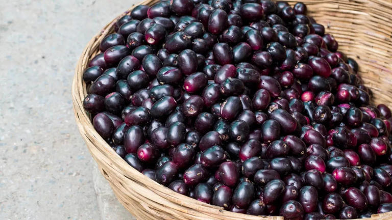 Jamun: Why is this desi berry considered ‘Amrit’ in Ayurveda Jamun: Why is this desi berry considered ‘Amrit’ in Ayurveda
